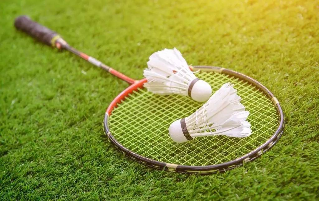 界的至尊 界的至尊