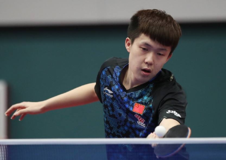 振欣组合的 振欣组合的